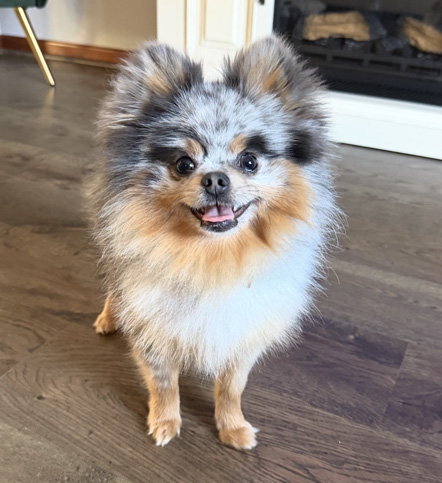 Mochi Mclaughlin