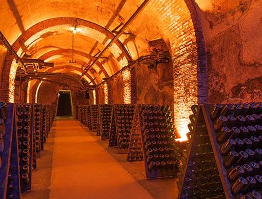 Growth, increased arrivals, but an eye on cost in France