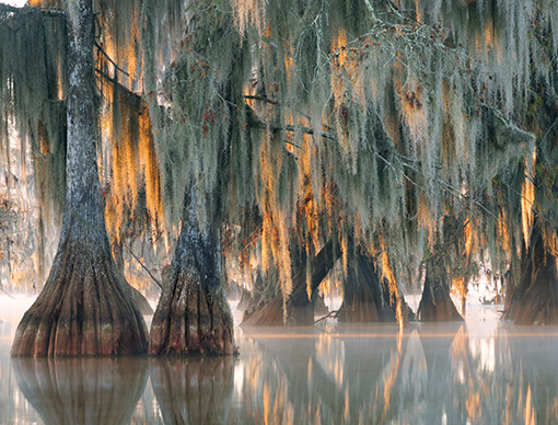 us consumer travel report