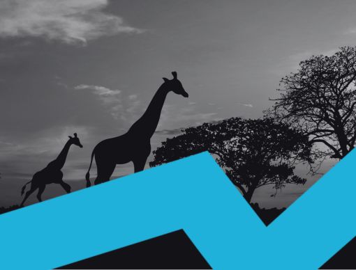Online Travel Tracker: South African Spectrum