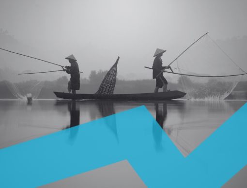 Online Travel Tracker: Vietnam Revealed