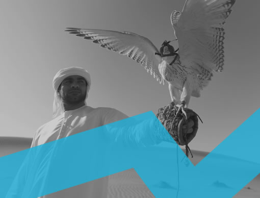 Middle East Travel Market Update 2020