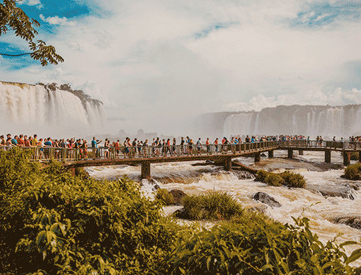 Latin America: Gross bookings expected to decrease 59% overall Latin America: Gross bookings expected to decrease 59% overall