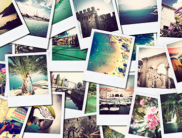 Destination and vacation decision making, planning and timing Destination and vacation decision making, planning and timing