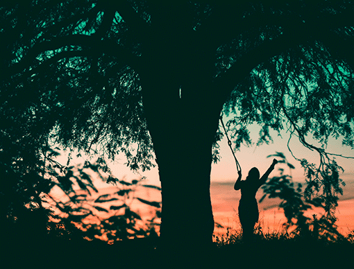 person under tree person under tree