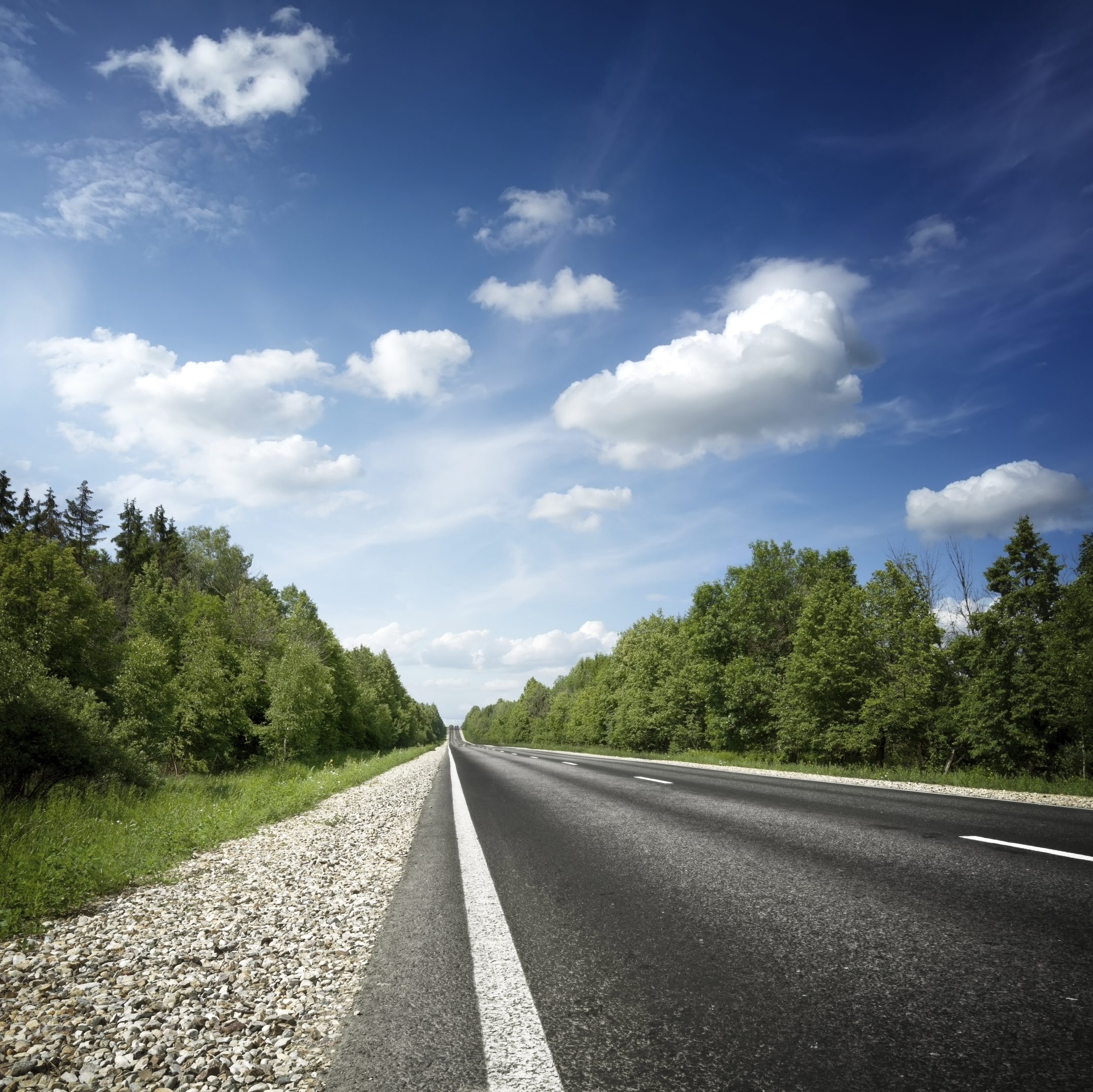 Country Highway Through Forest